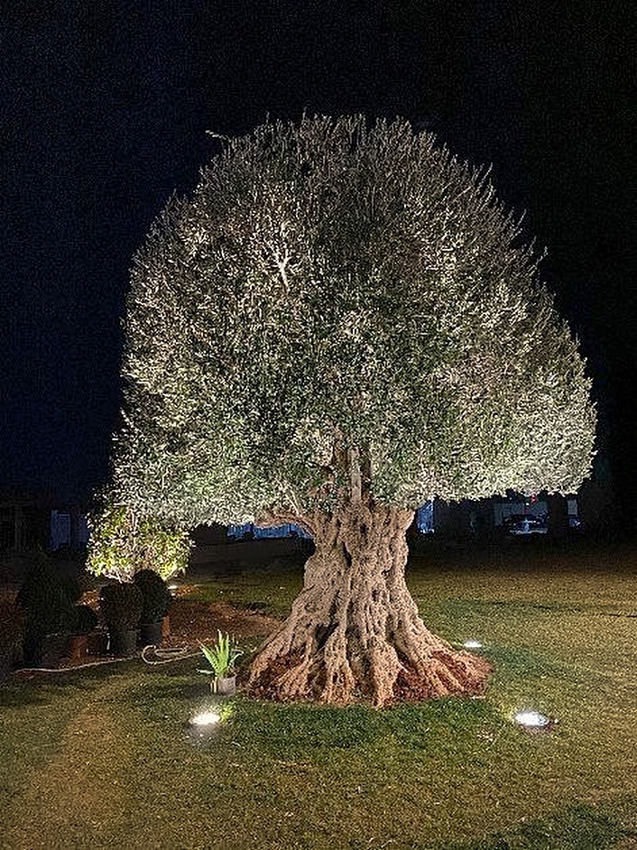 Katarji Yaafour, Yaafour, Syria